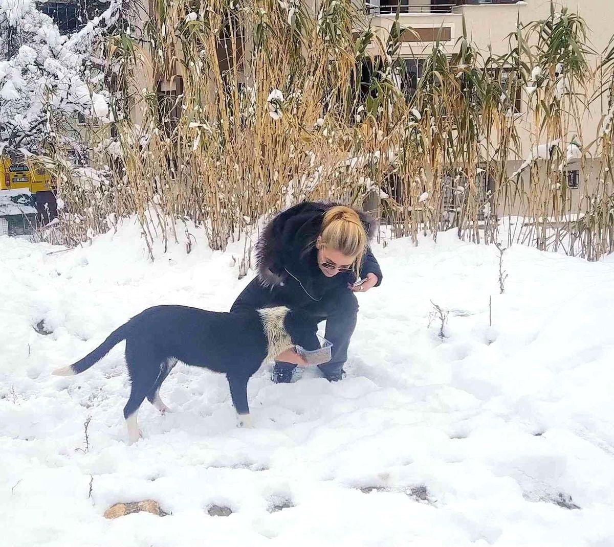 Üretime ara verdiler, ama mamaya devam