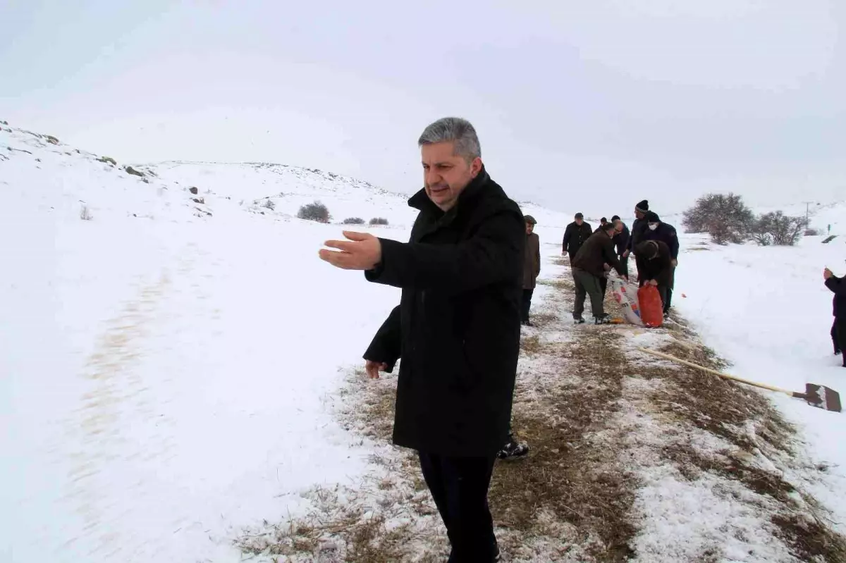 Başkan Altun yaban hayvanlarına yem verdi, yolda ailenin aracını itti