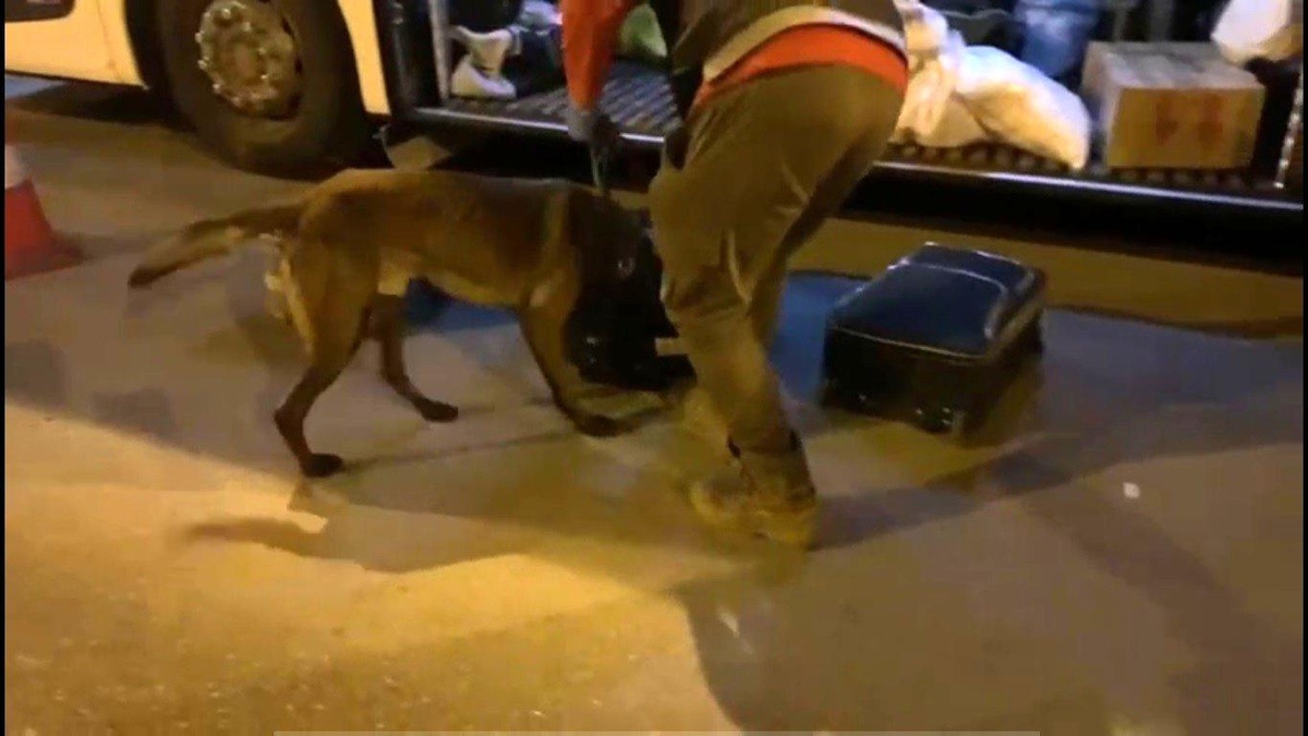 "Brego" uyuşturucuya geçit vermedi