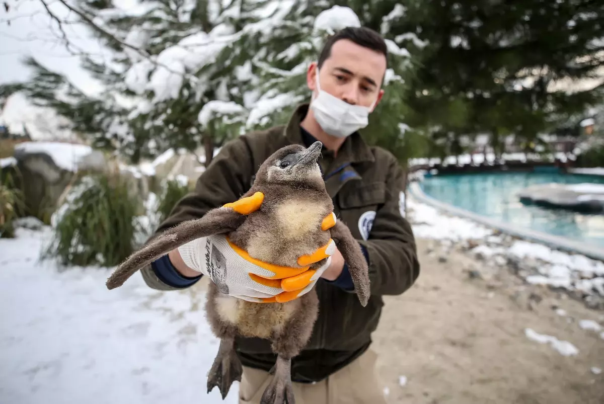 Bursa Hayvanat Bahçesi'nin üye sayısı artıyor