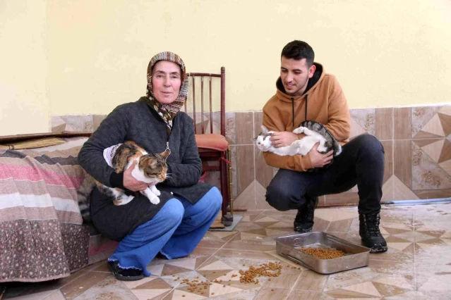 Kayseri'de hayvansever kadın 20 sokak kedisini besliyor