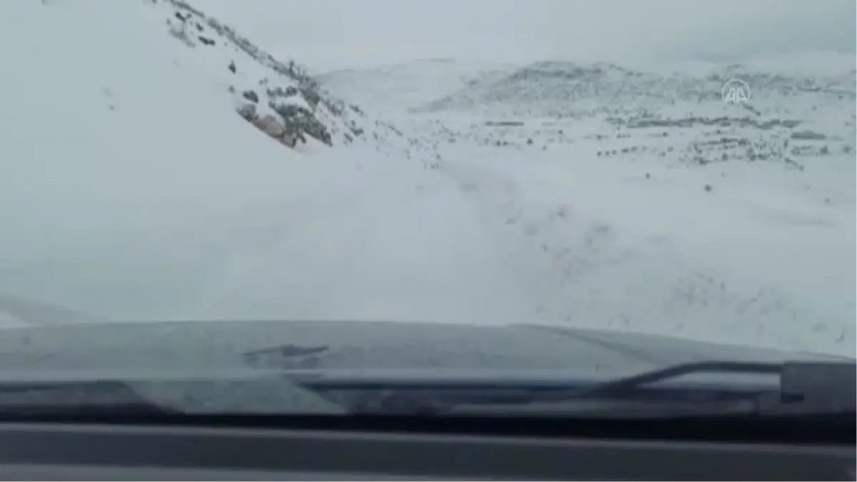 DİYARBAKIR - Yolu kardan kapanan mahallede doğum yapan kadın ve bebeği için seferber oldular