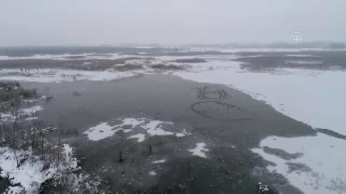 Son dakika... Efteni Gölü Kuş Cenneti\'nde kar manzarası havadan görüntülendi