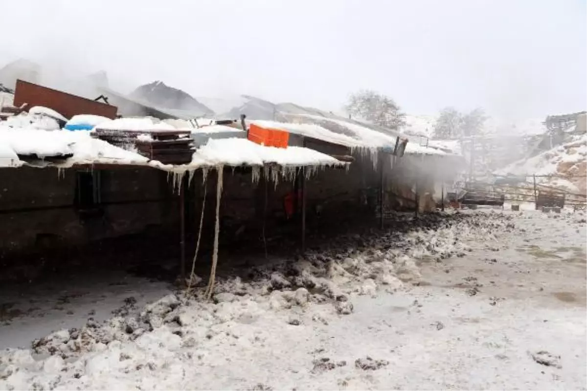 Son dakika haber... Eskişehir'de ağıl yangını, 3 saatte söndürüldü; 50'ye yakın hayvan öldü