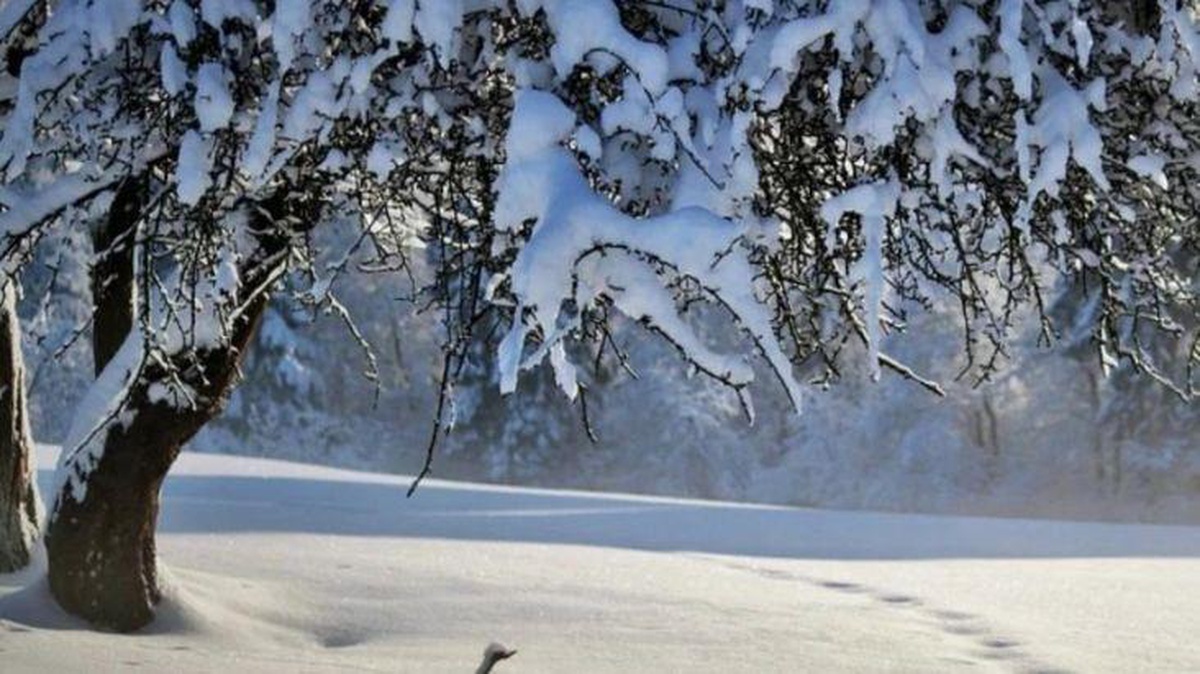 Hatay\'da kar ve tipi nedeniyle 18 mahallenin yolu ulaşıma kapandı!