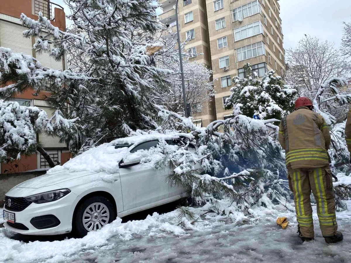 Kadıköy\'de yoğun kara dayanamayan ağaç, park halindeki otomobilin üstüne devrildi