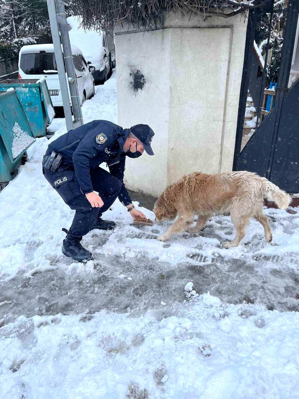Kağıthane polisi soğuk havada sokak hayvanlarını unutmadı