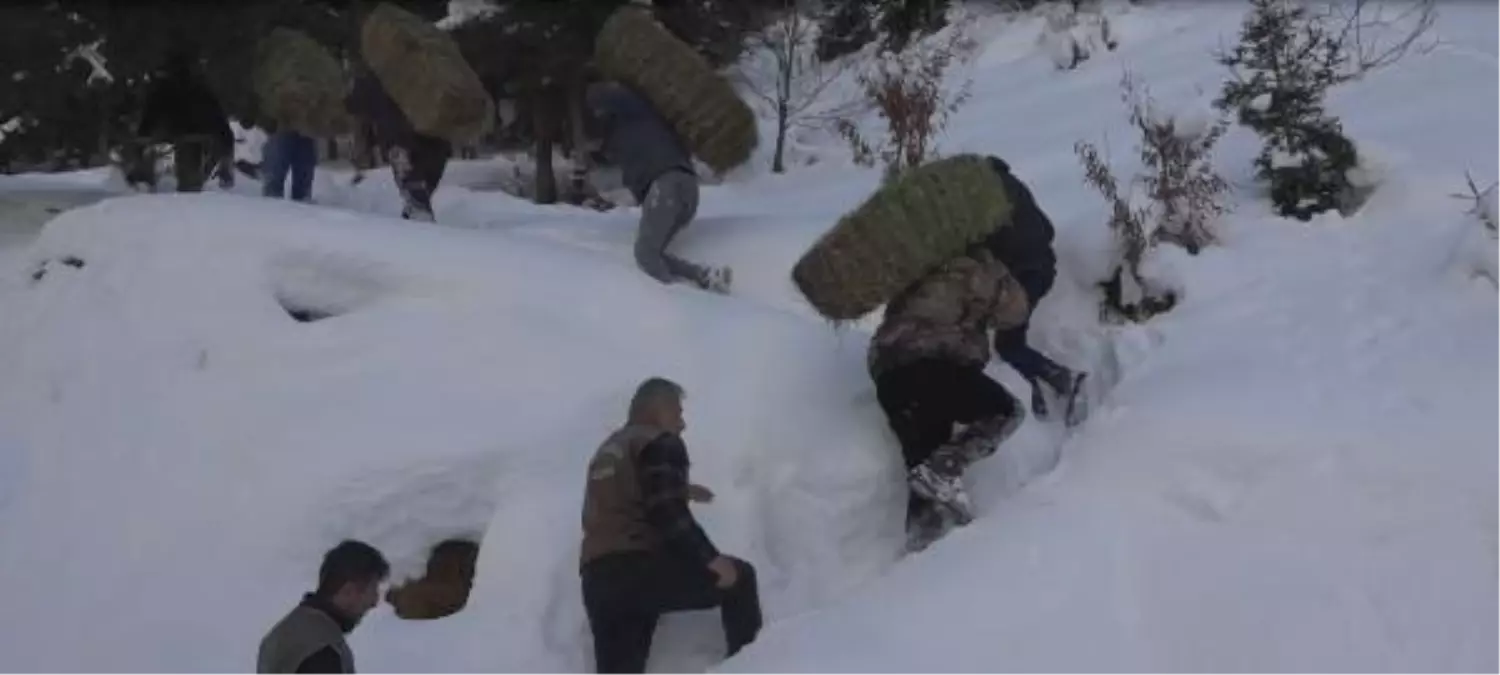 KARLI YOLLARI AŞIP, HAYVANLAR İÇİN DOĞAYA YEM BIRAKTILAR