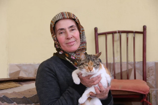 Kayseri'de hayvansever kadın 20 sokak kedisini besliyor