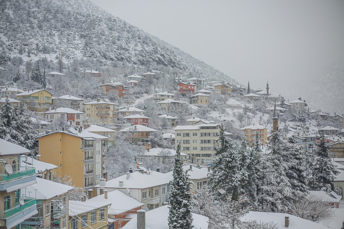 Kepez\'de sokak hayvanları için mama bırakıldı