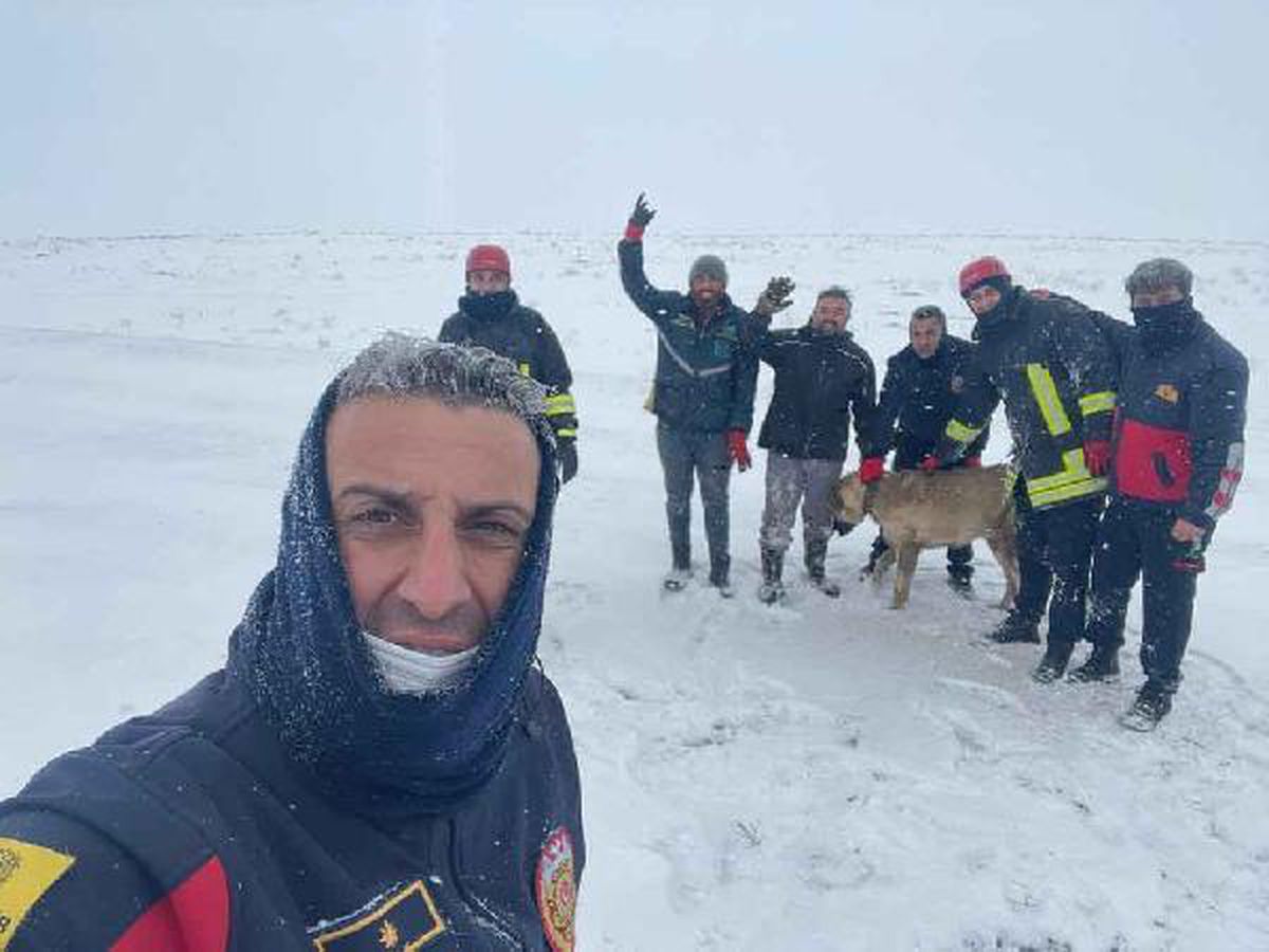 Kurtları kovalarken 15 metrelik kuyuya düşen çoban köpeği kurtarıldı