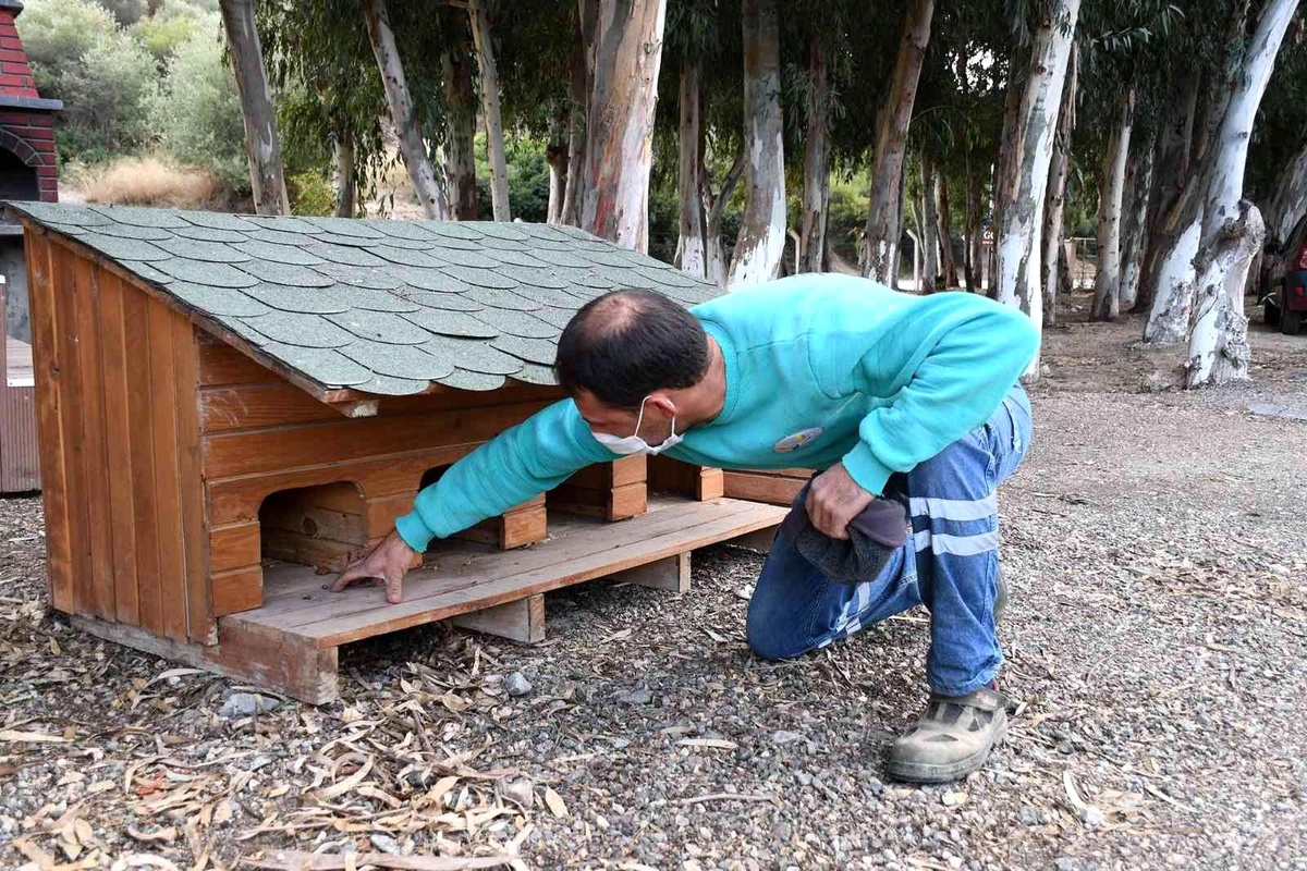 Kuşadası Belediyesi soğuk havada can dostlarını unutmadı