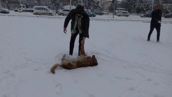 TOKAT'TA KAR YAĞIŞI, 170 KÖY YOLUNU KAPATTI