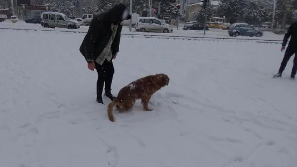 TOKAT'TA KAR YAĞIŞI, 170 KÖY YOLUNU KAPATTI