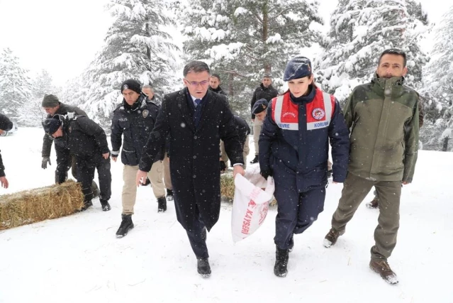 Tokat'ta yaban hayvanları için doğaya 10 bin kilogram yem bırakıldı