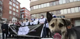 TTB, özlük haklarının iyileştirilmesi için 'Beyaz Nöbet' eylemi yapacak