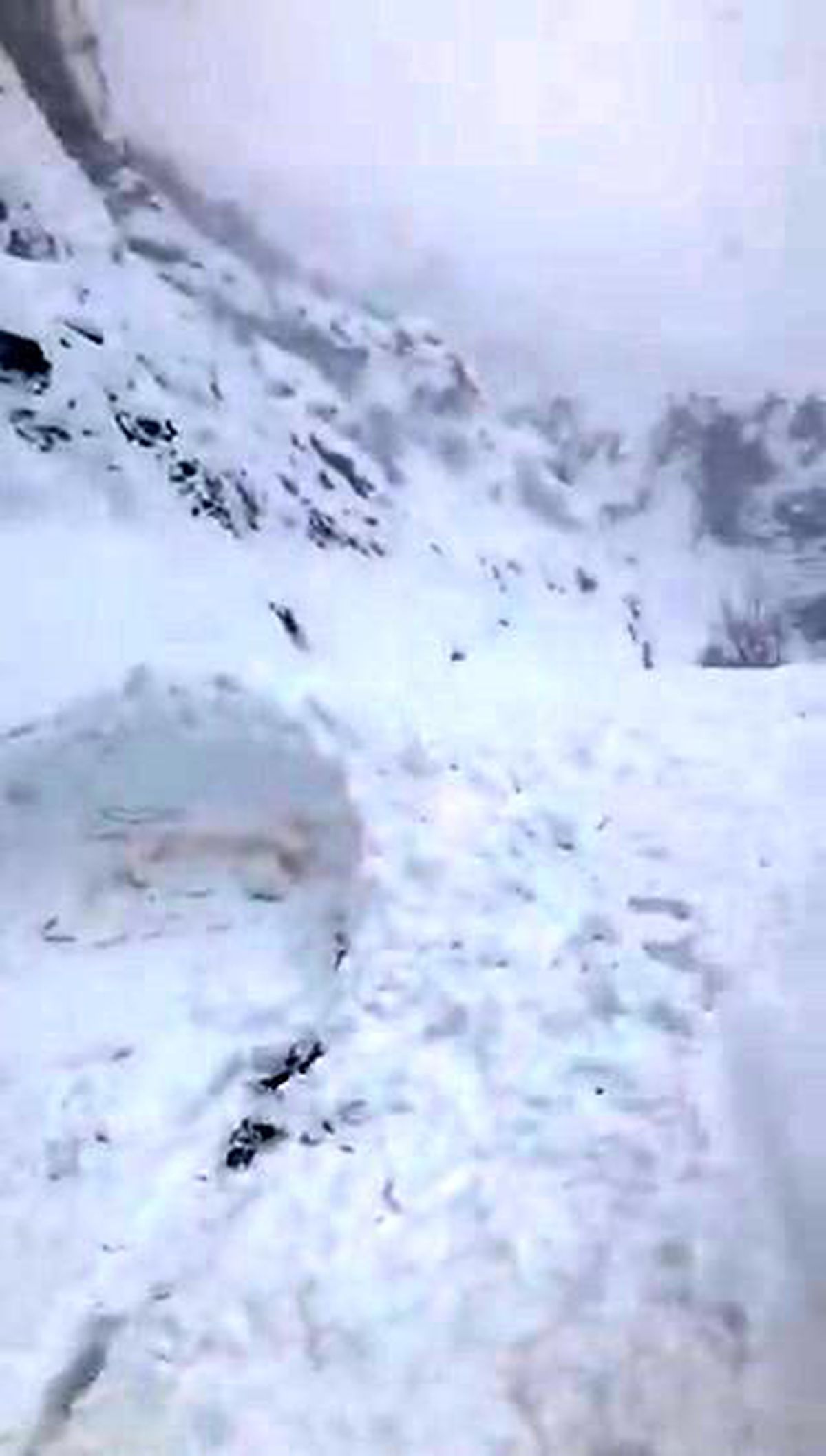 Tunceli\'de çığ nedeniyle 2 yol kapatıldı