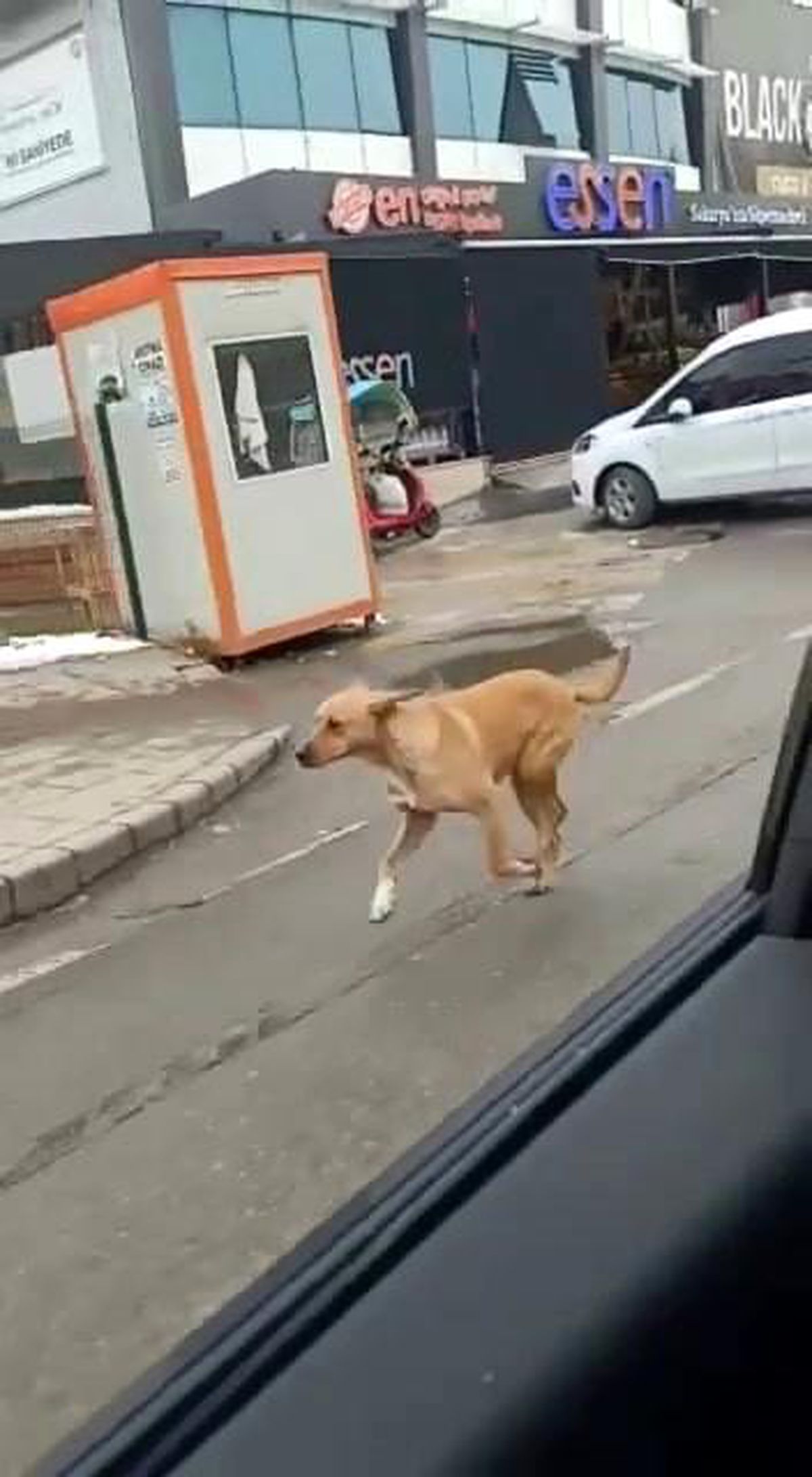 Yiyecek verdiği polisleri unutmadı, bakın ne yaptı
