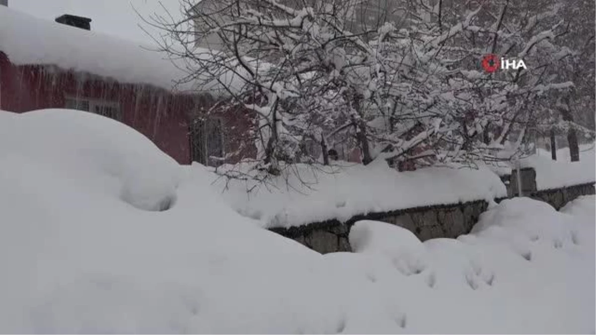 Bitlis\'te kar esareti devam ediyor- İl genelinde 106 köy yolu ulaşıma kapandı