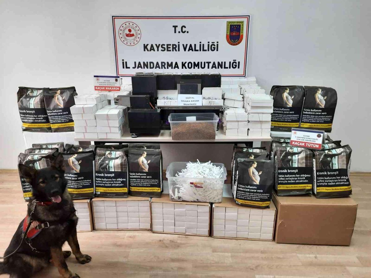 Jandarmadan tütün operasyonu