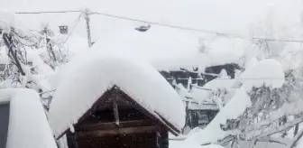 Kastamonu'da araçlar, karda kayboldu (2)