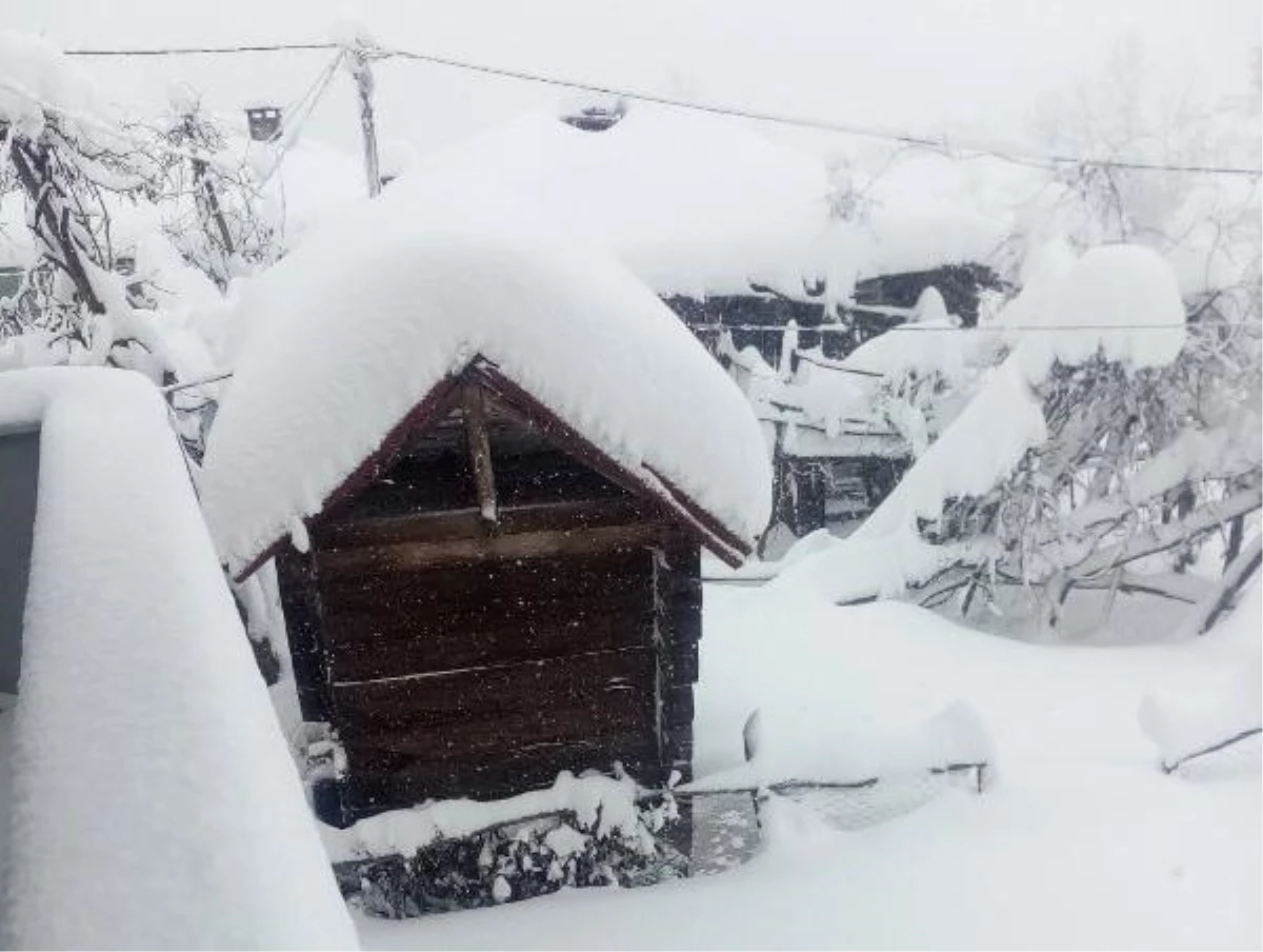 Kastamonu\'da araçlar, karda kayboldu (2)