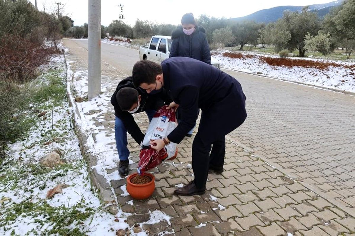 Kaymakam Alpay sokak canlarını unutmadı