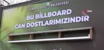 Kışın yiyecek bulamayan kuşlara 'ilan-ı yem'- Kuşlar için bilboardlara yemlikler asıldı