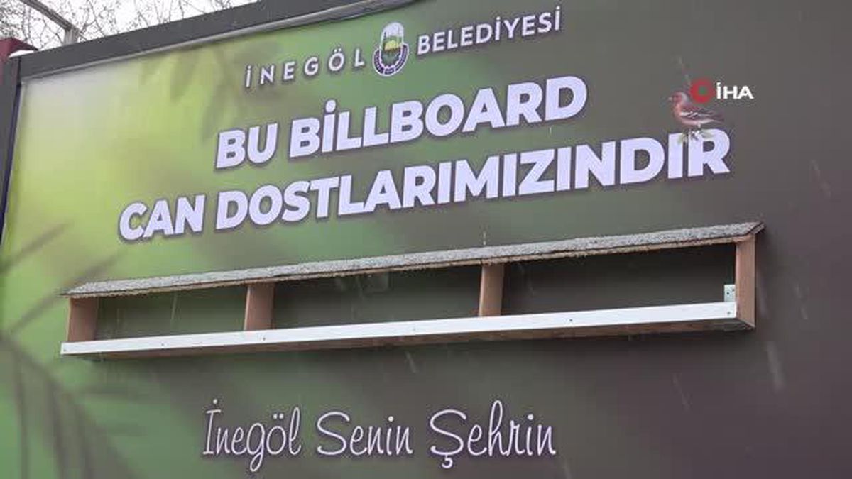 Kışın yiyecek bulamayan kuşlara 'ilan-ı yem'- Kuşlar için bilboardlara yemlikler asıldı