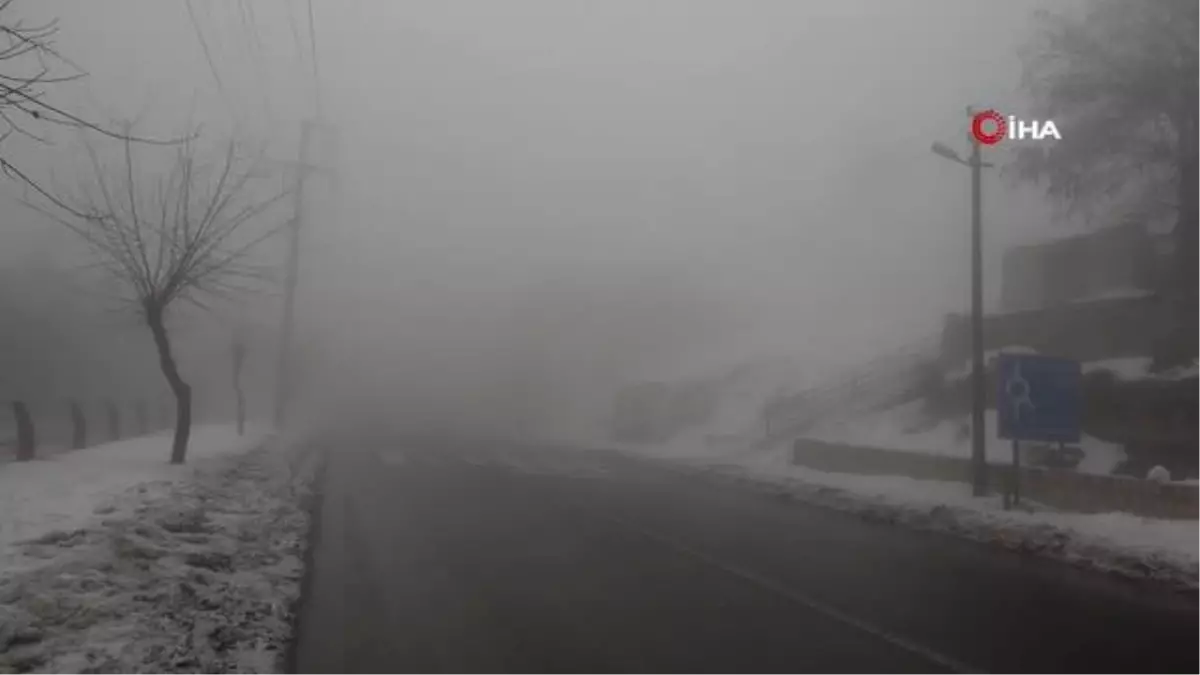 Mardin yoğun sise teslim oldu
