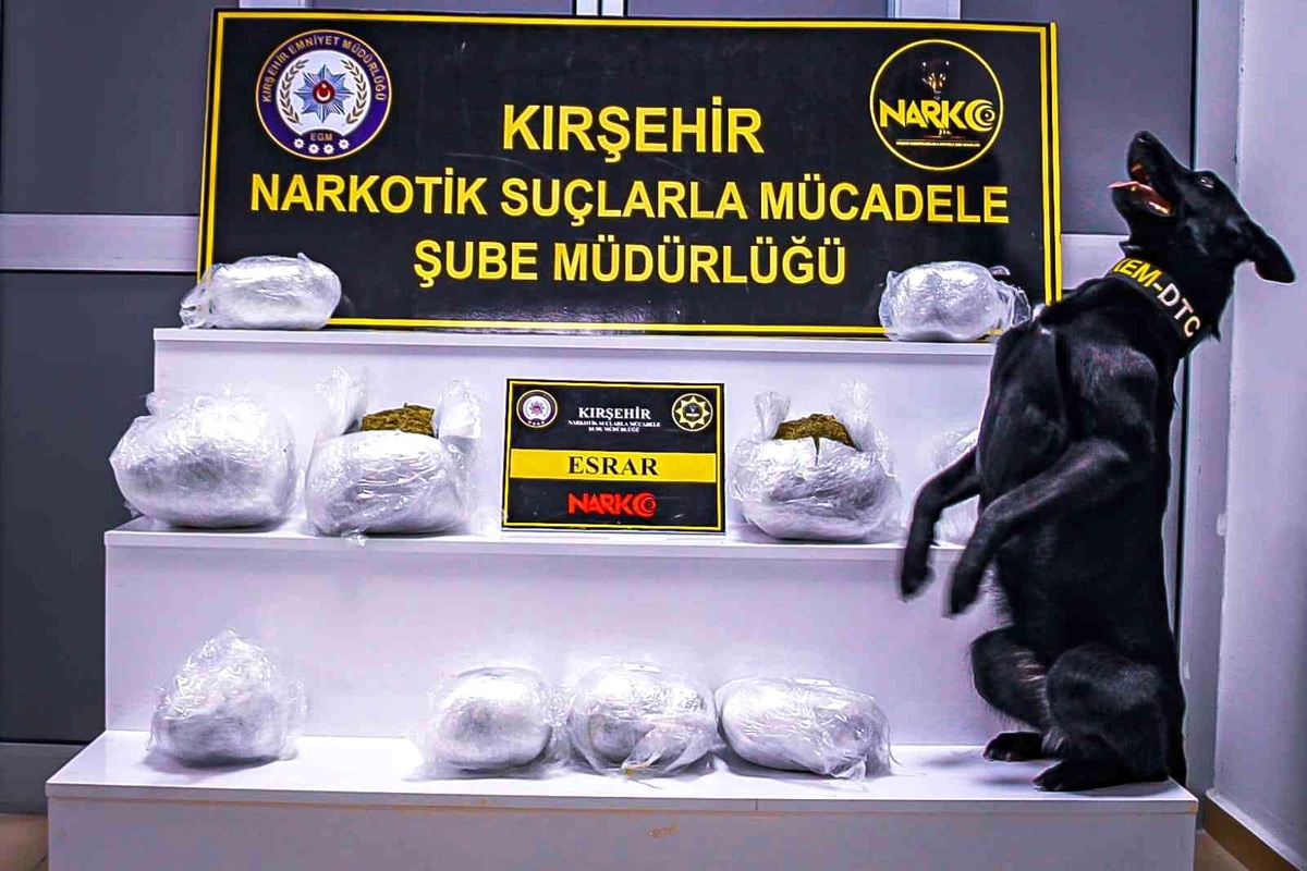 Narkotik Köpeği \'Çine\' 8 kilo uyuşturucu yakaladı