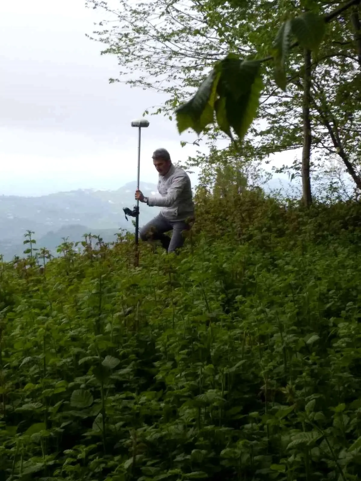 Ordu\'da kadastro çalışmaları