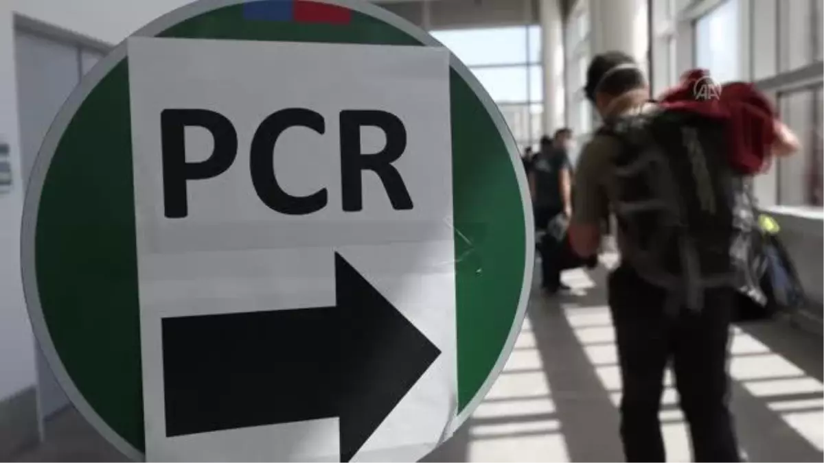 PUERTO WILLIAMS - 'Beyaz Kıta' için yola çıkan 'Antarktika Bilim Seferi' ekibi Şili'de