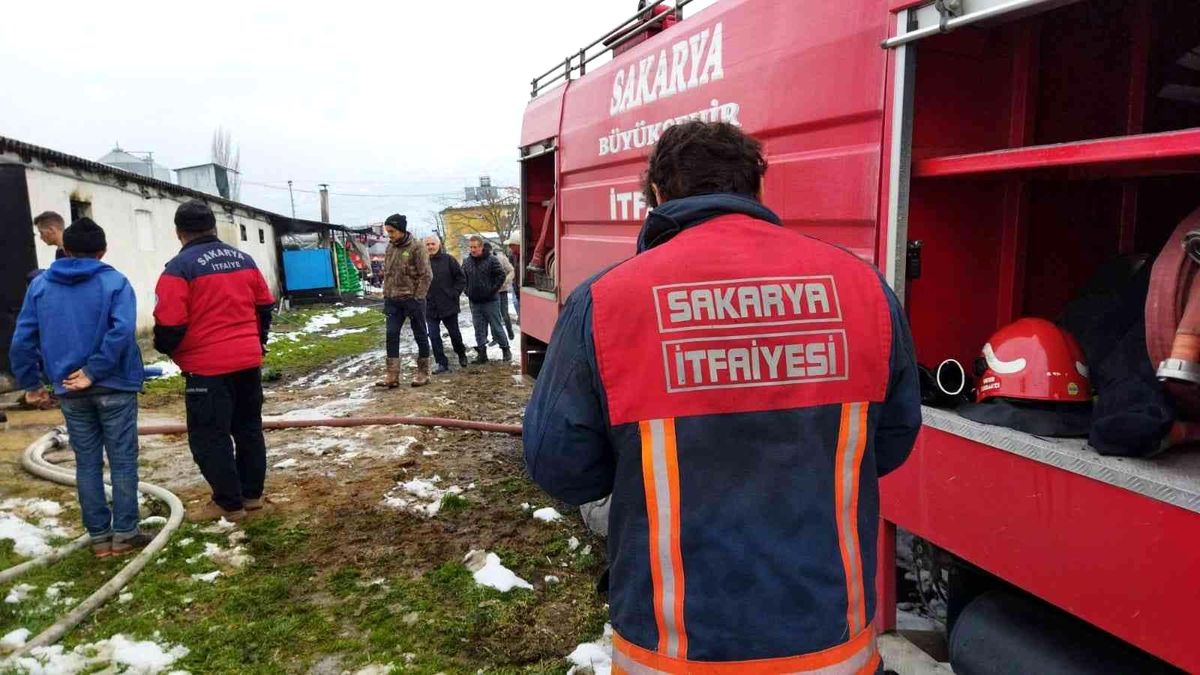 Son dakika haber: Tavuk çiftliğinde çıkan yangın itfaiye ekiplerince söndürüldü