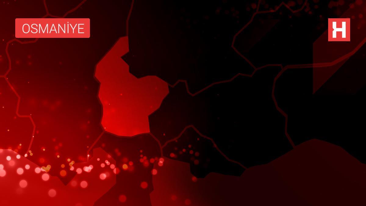 Yoğun kar yağışında yaban hayvanları unutulmadı