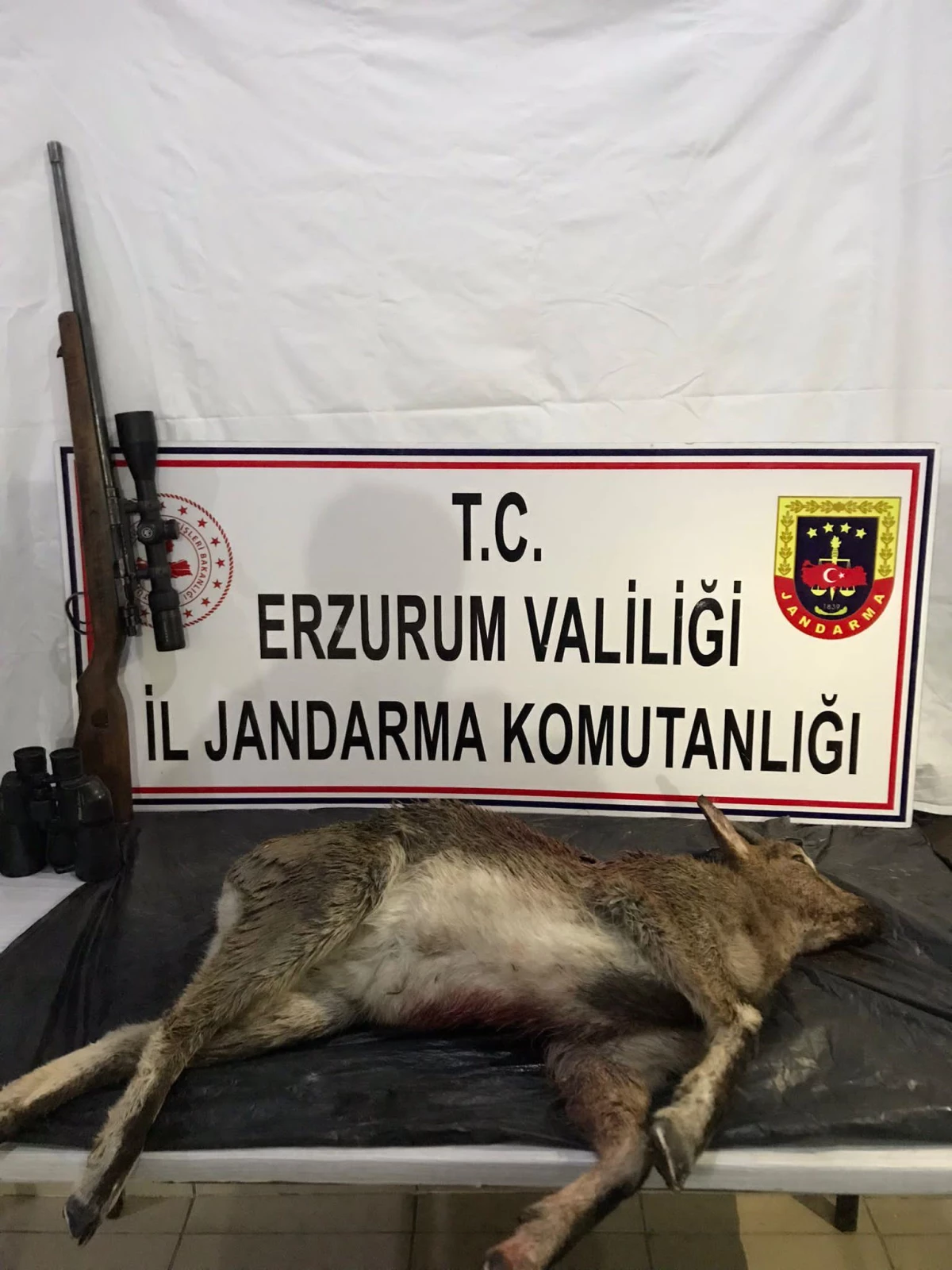 Erzurum\'da dağ keçisi avlayan kişiye 60 bin lira ceza kesildi