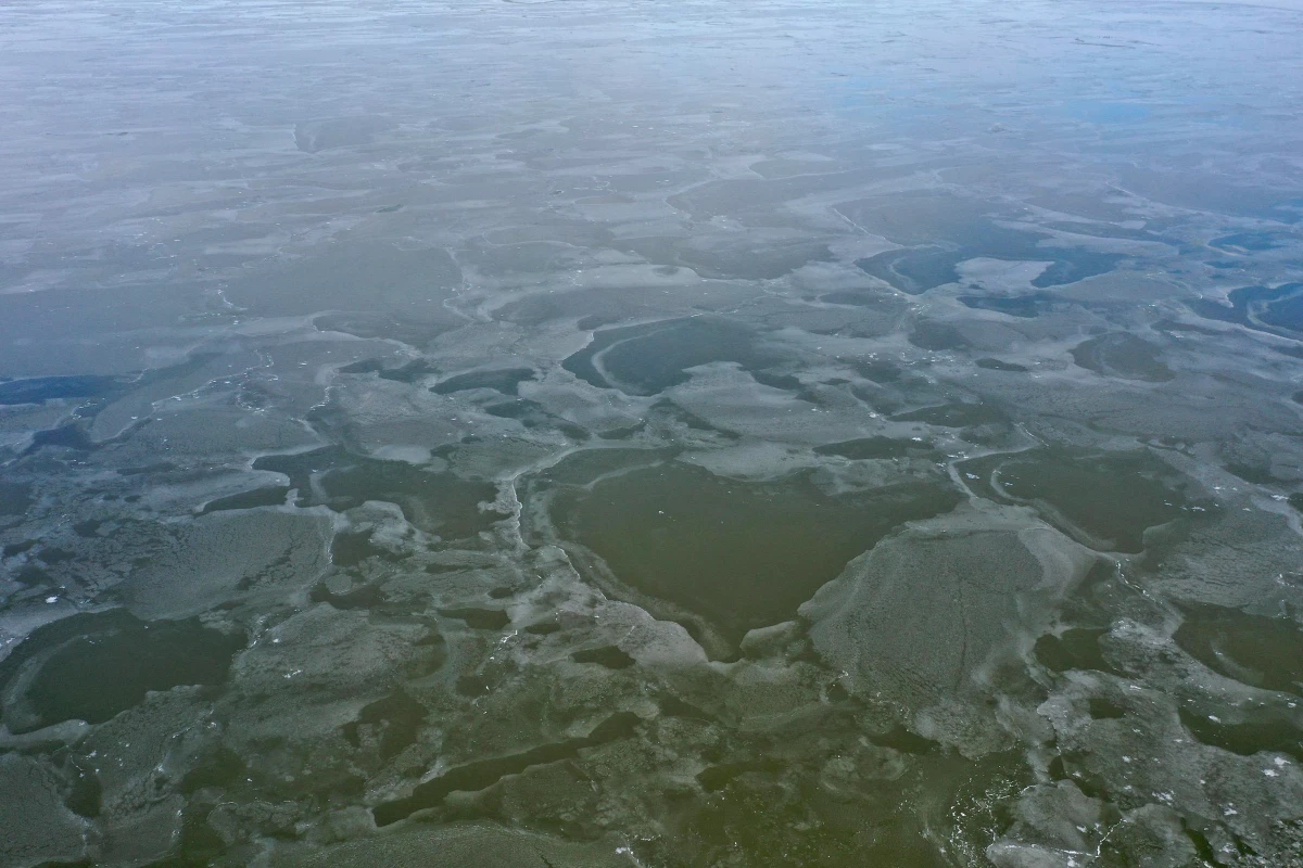 Son dakika haber! Flamingoların durağı Gala Gölü, soğuk havada kısmen buz tuttu