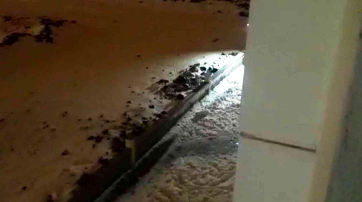 Kar sonrası aç kalan tilki şehirde yiyecek aradı