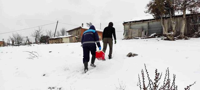 Kütahya'da anaç koyun keçi tespit çalışmaları