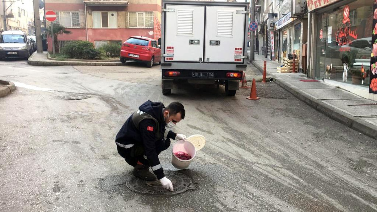 Osmangazi\'de haşerelere karşı ilaçlama