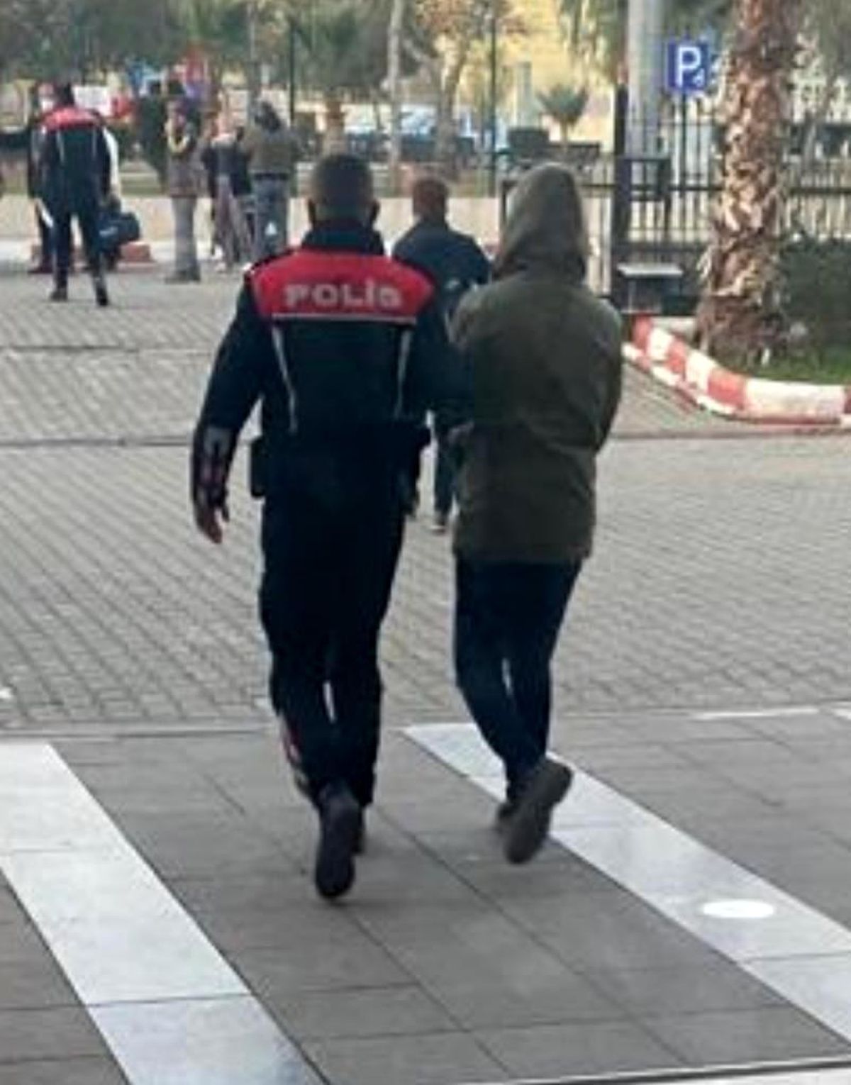 Zeytinyağı hırsızları yakalandı