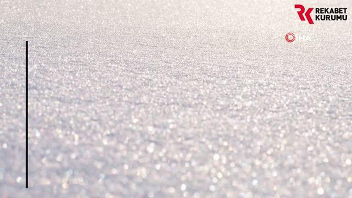 Rekabet Kurumu'ndan staj imkanı