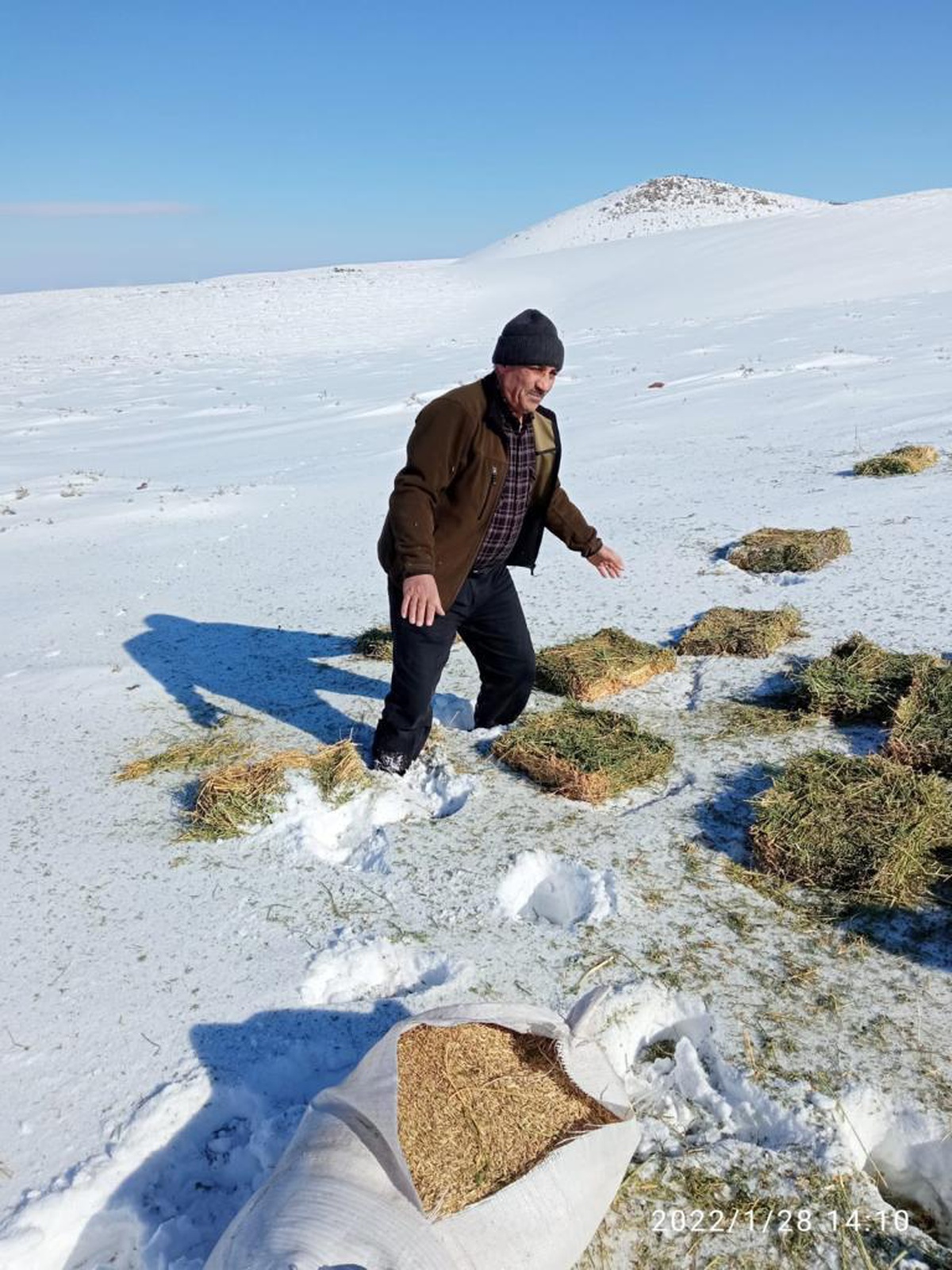 Şanlıurfa\'da yaban hayvanları için doğaya 1 ton yem bırakıldı