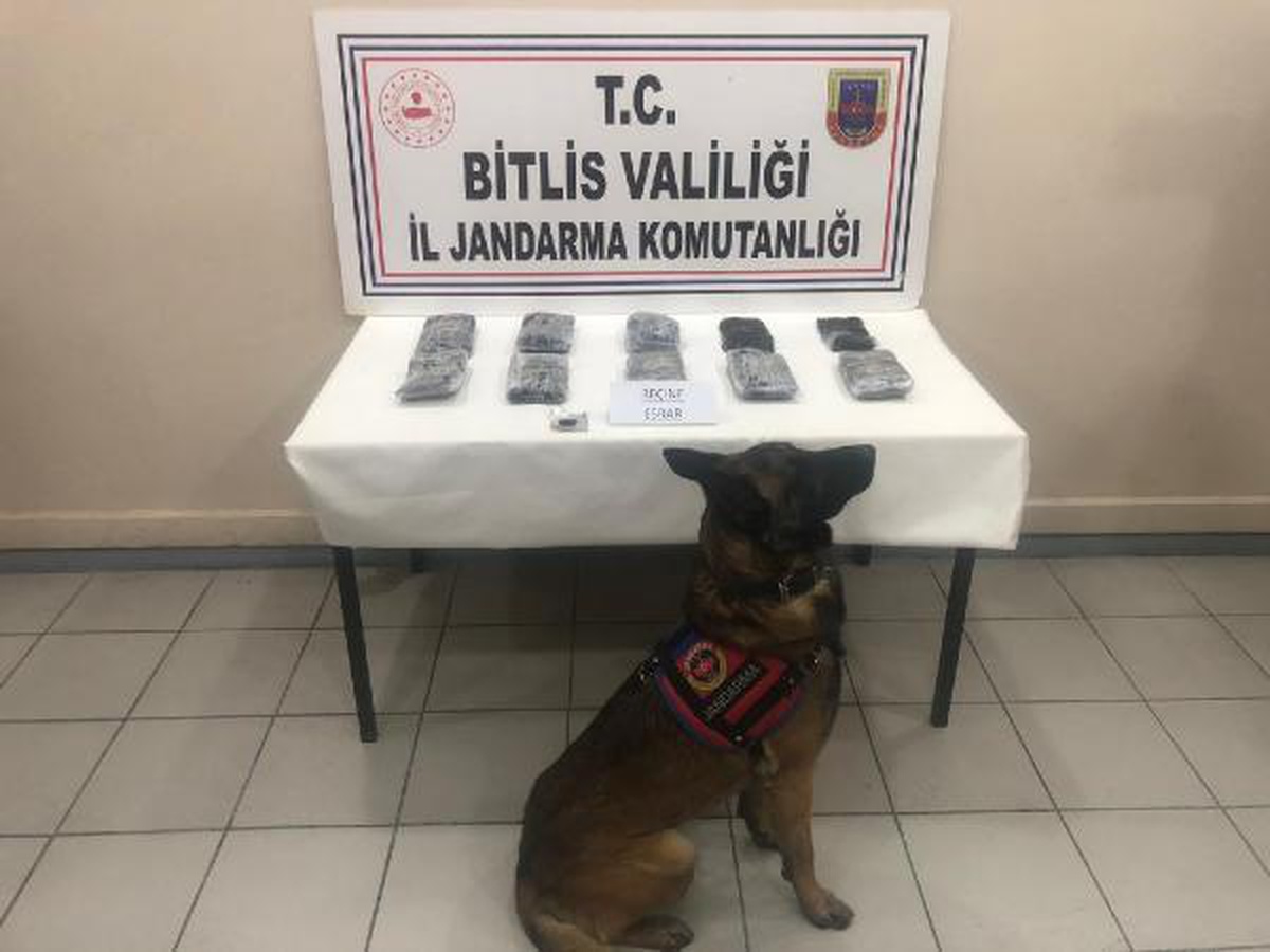 Üst aramasında 14 kilo 390 gram reçine esrar ile yakalandı