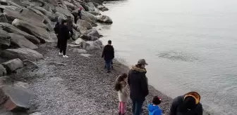 Çekilen deniz çocuklara eğlence mekanı oldu