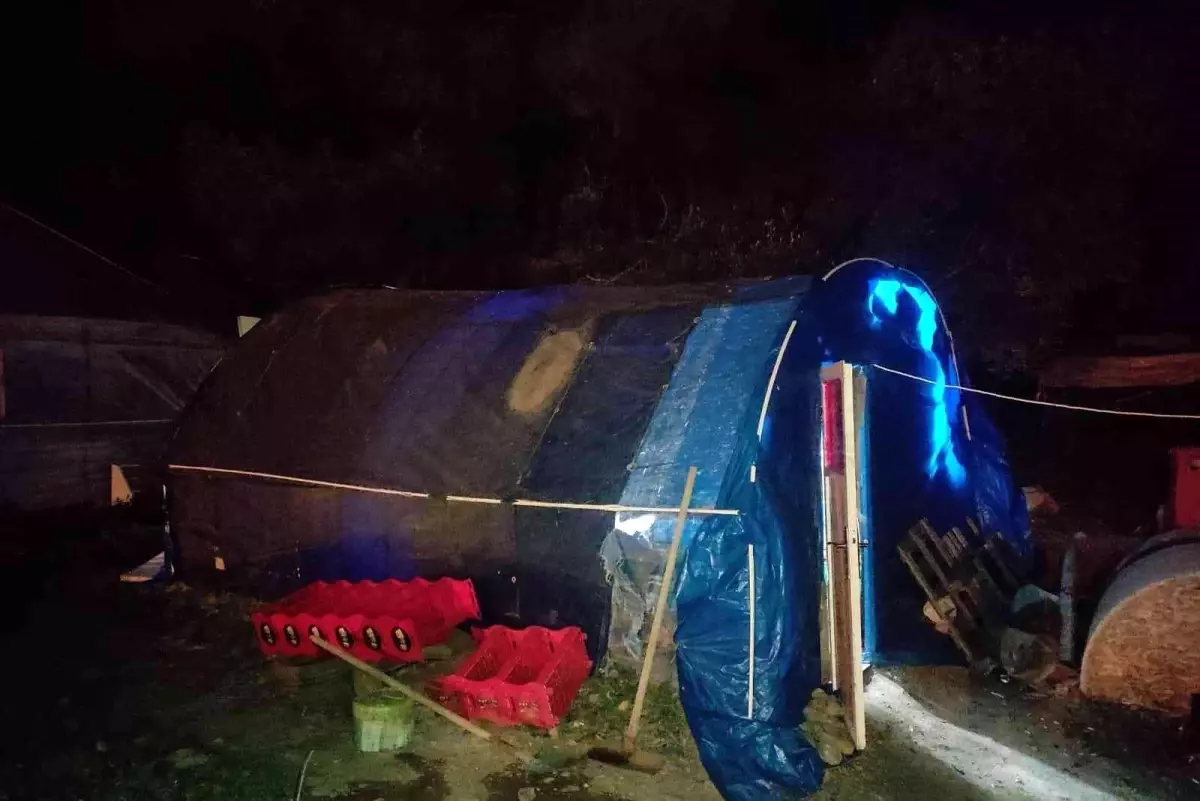 Fethiye\'de horoz dövüşü operasyonu: 8 kişi yakalandı