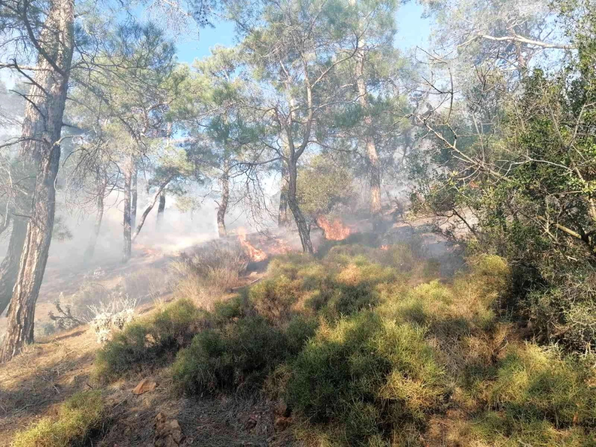 Son dakika haber | Fethiye\'de orman yangınının yayılmasına jandarma engel oldu
