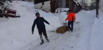Kardan kapanan yolu açılan besiciler hayvanları için ot taşıyor