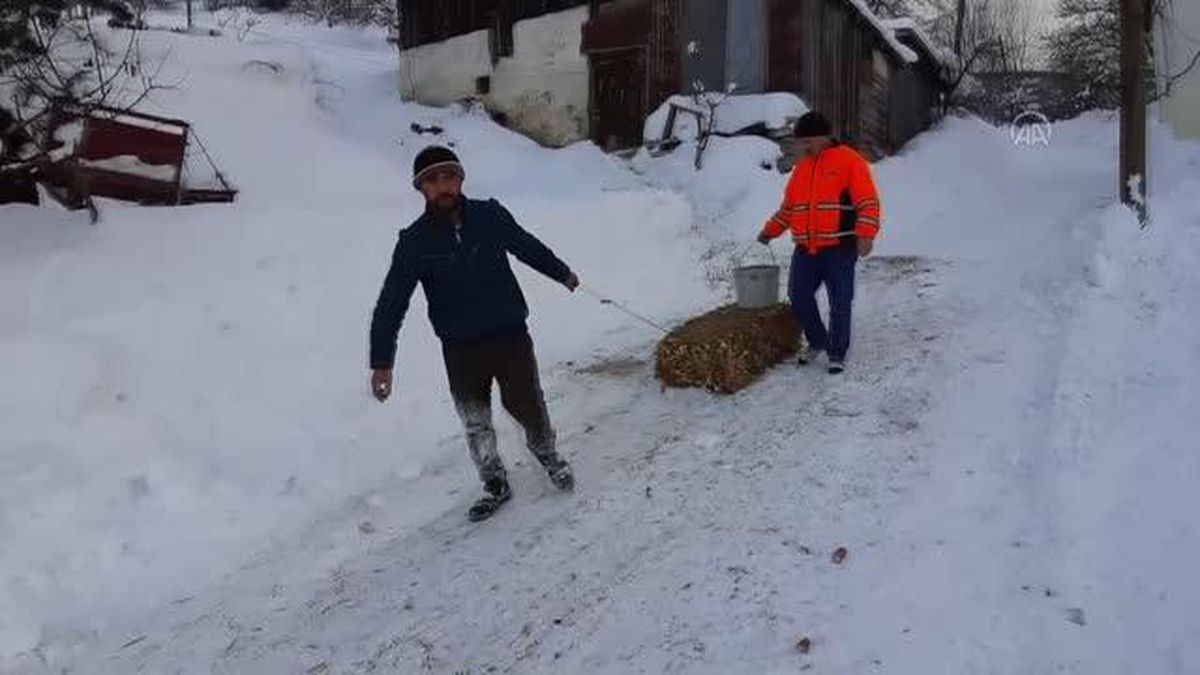 Kardan kapanan yolu açılan besiciler hayvanları için ot taşıyor