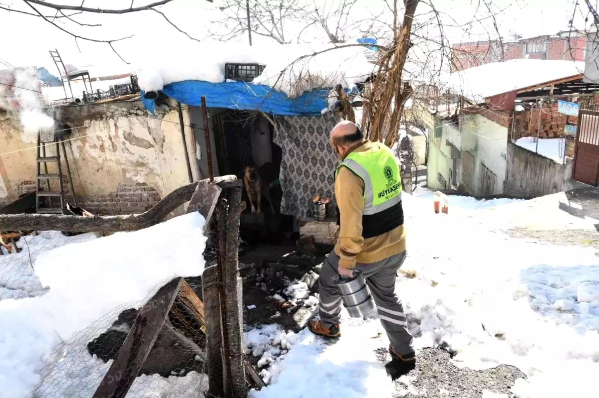 Sosyal belediyecilik hizmetleri kış şartlarında da yardıma koştu